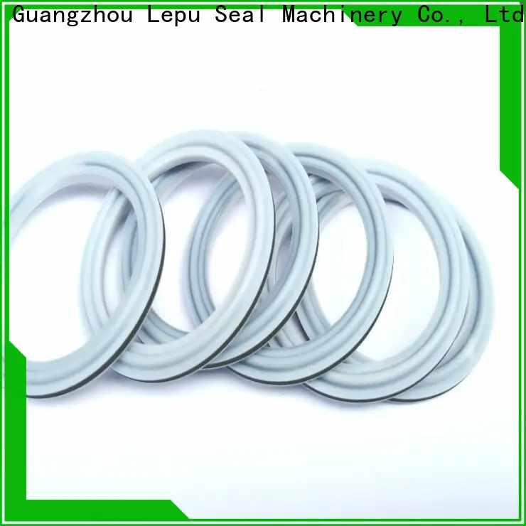 Lepu Seal OEM high quality sic rings factory 1