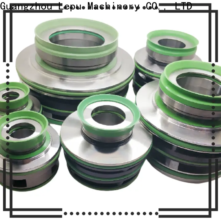 Lepu Seal Bulk purchase OEM Flygt 3152 Mechanical Seal OEM for short shaft overhang 1