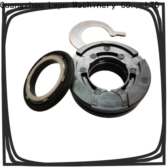 Lepu Seal Custom best Flygt Mechanical Seal manufacturers bulk production for short shaft overhang 1