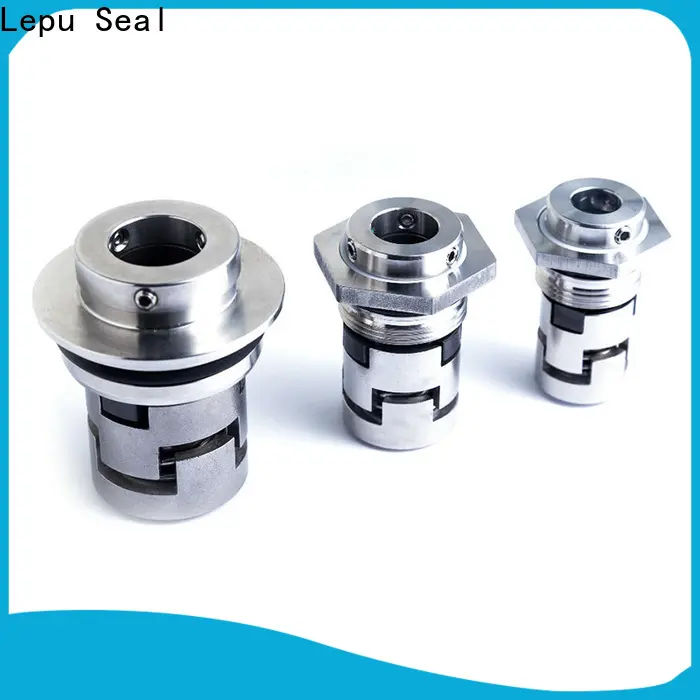 Lepu Seal OEM best double mechanical seal arrangement Supply bulk buy 1
