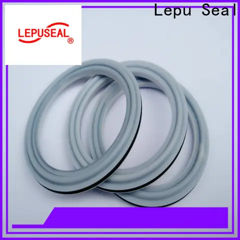 Lepu Seal Custom best sic ring manufacturers 1