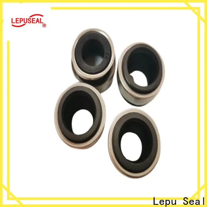 Lepu Seal high-quality pump seal types factory bulk production 1