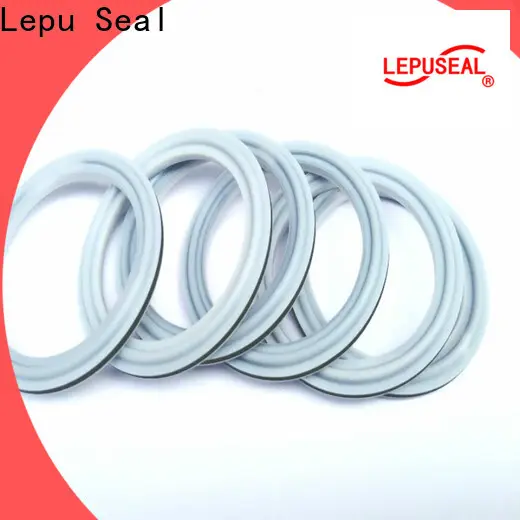 Lepu Seal silicon carbide seal rings factory1 1