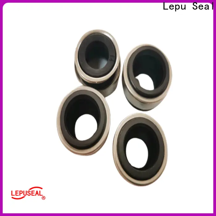Lepu Seal mechanical double mechanical seal drawing Suppliers bulk buy 1