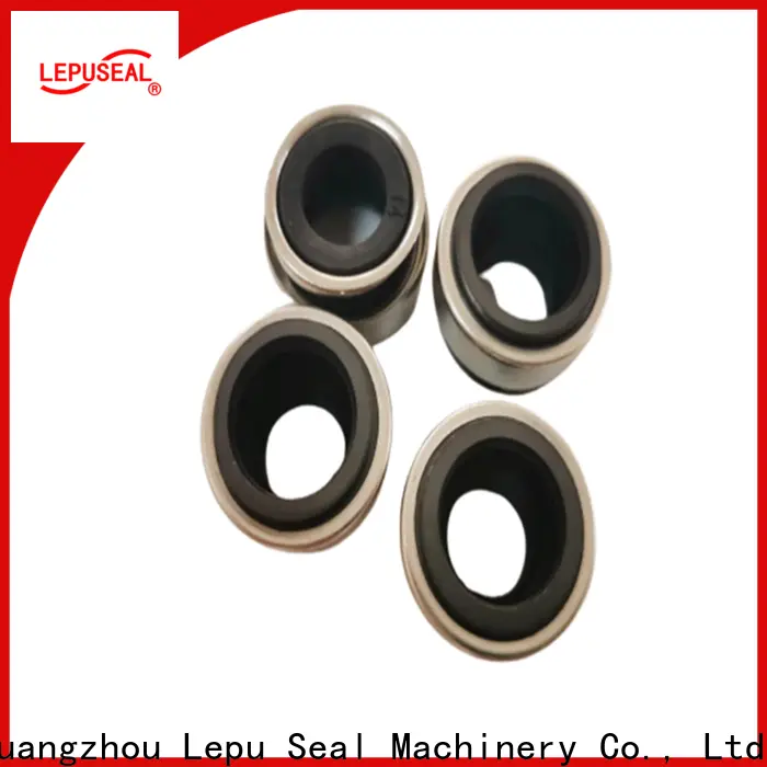 Lepu Seal single burgmann mechanical seal suppliers OEM high pressure 1