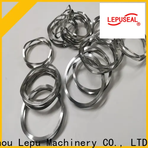 Lepu Seal Custom high quality silicon carbide ring Suppliers 1