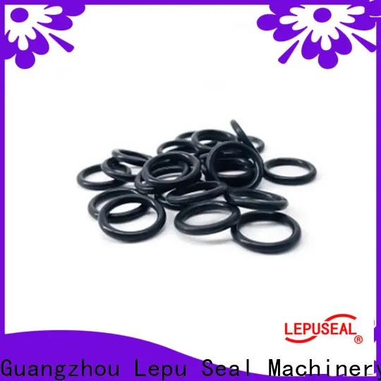 Best silicon carbide seal rings company 1