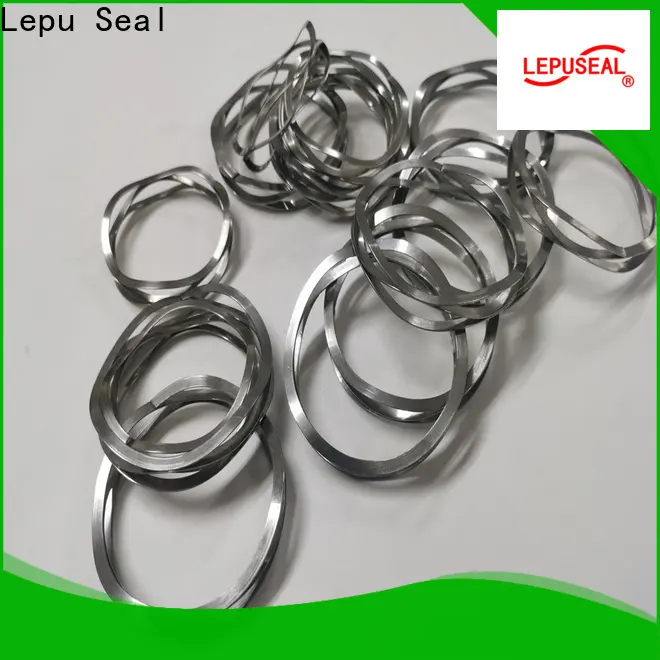 Lepu Seal sic ring company 1
