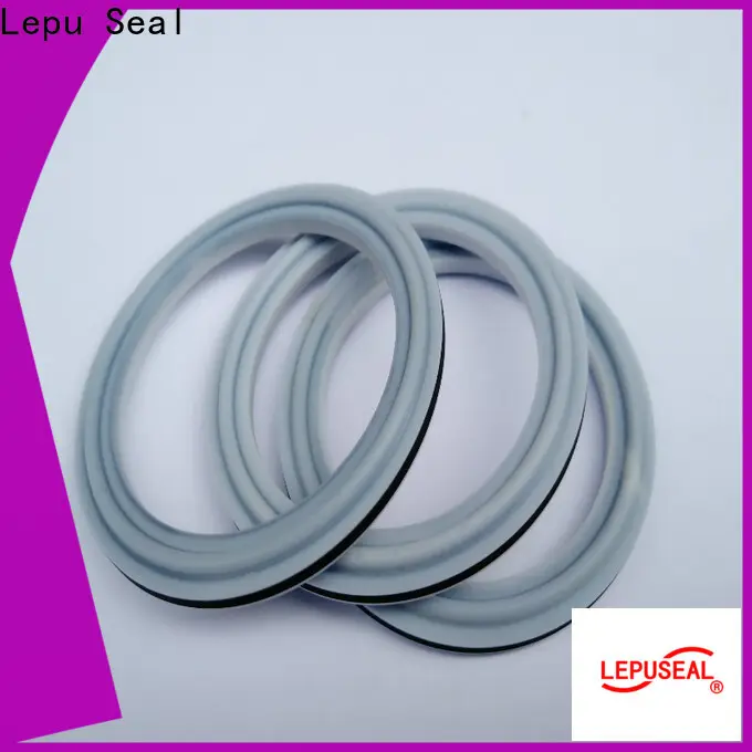 Lepu Seal Latest sic rings manufacturers 1