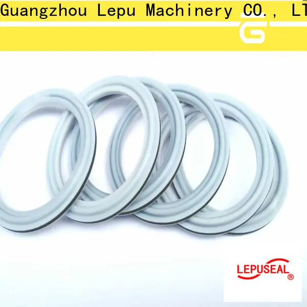 Lepu Seal sic rings manufacturers3 1
