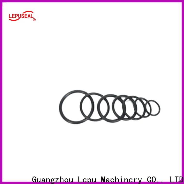 Lepu Seal sic ring factory 1