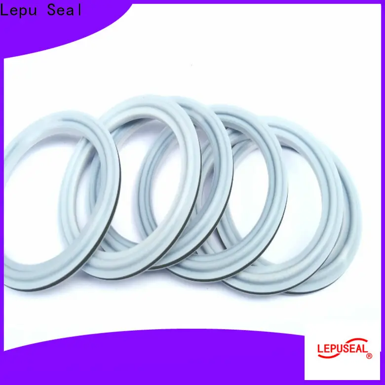 Lepu Seal Wholesale silicon carbide ring for business 1