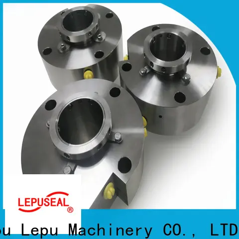 Lepu Seal OEM high quality burgmann mechanical seal supplier high pressure 1