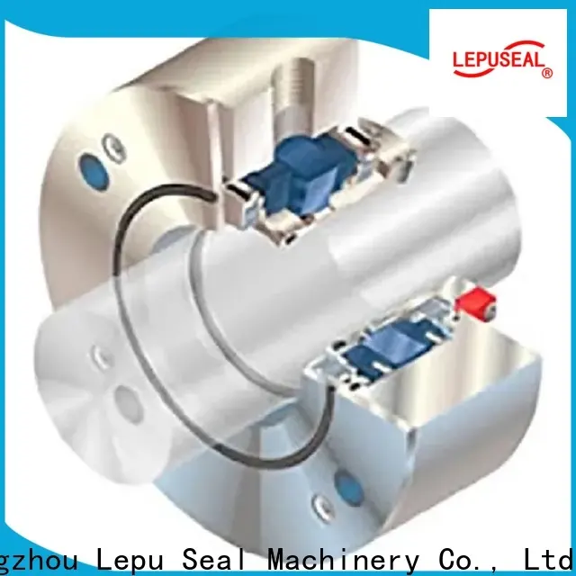 Lepu Seal tandem pump seal company 1