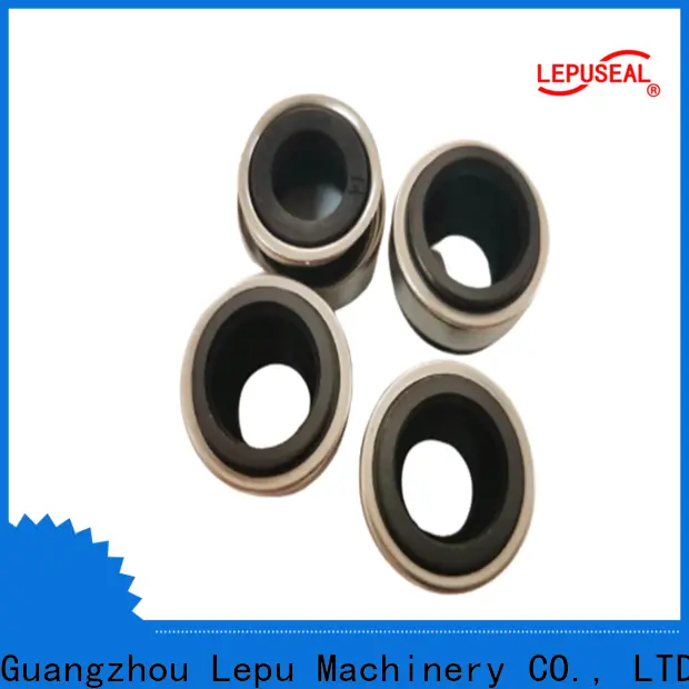 Lepu Seal single motor mechanical seal Supply bulk production 1