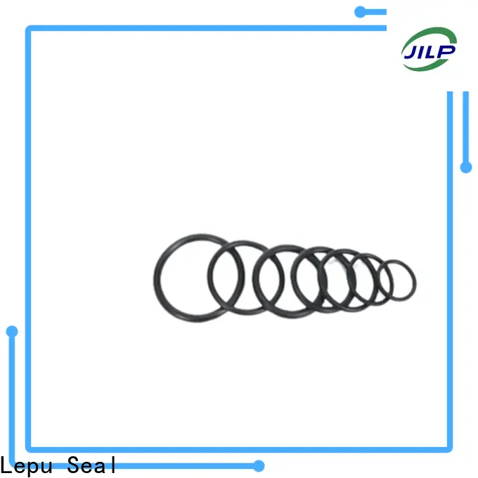 Lepu Seal Best silicon carbide ring Supply 1