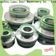 Custom high quality Flygt 3152 Mechanical Seal fsa factory for hanging 1
