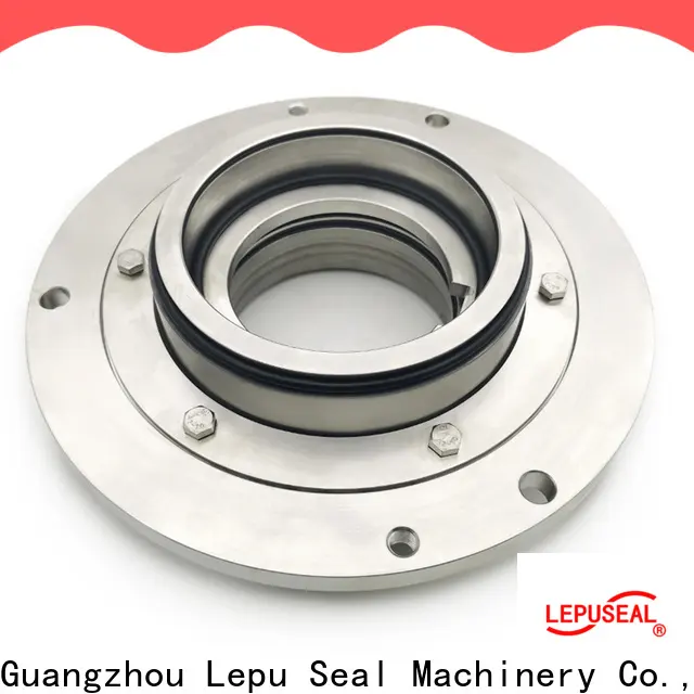 Lepu Seal Bulk purchase OEM mechanical seals for flygt pumps ODM for short shaft overhang 1