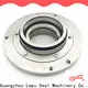 Lepu Seal Bulk purchase OEM mechanical seals for flygt pumps ODM for short shaft overhang 1