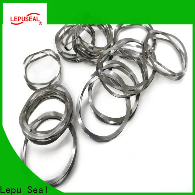 Lepu Seal Wholesale OEM sic ring manufacturers 1