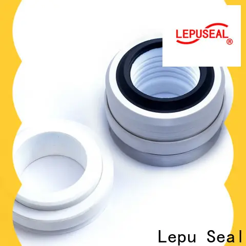 Lepu Seal john teflon seals supplier for paper making for petrochemical food processing, for waste water treatment 1