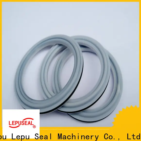 Lepu Seal Wholesale silicon carbide seal rings factory1 1