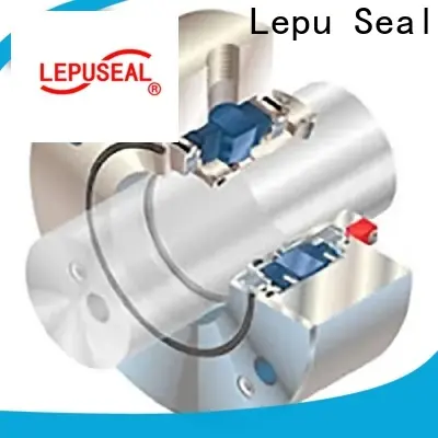 Lepu Seal Custom dry gas mechanical seal Suppliers 1