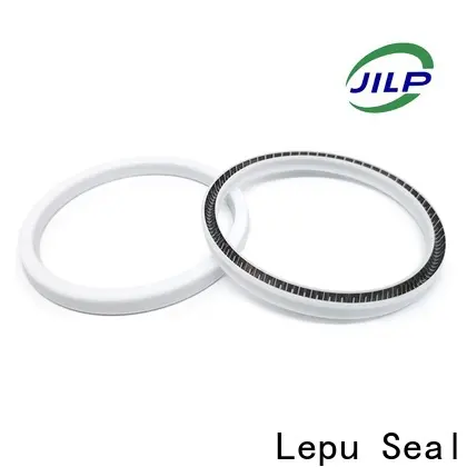 Lepu Seal Bulk buy high quality John Crane Mechanical Seal factory for wholesale for paper making for petrochemical food processing, for waste water treatment22 1