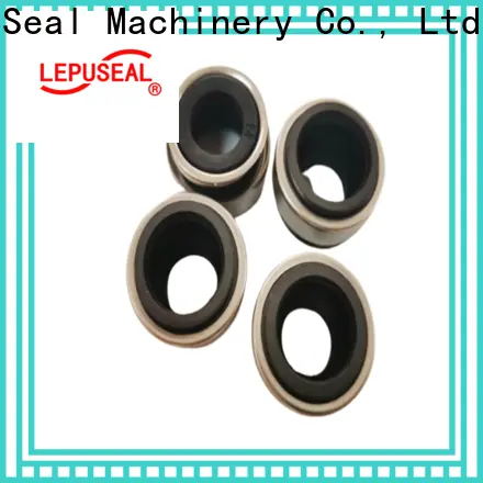 Lepu Seal high-quality mechanical seal application for business bulk production 1