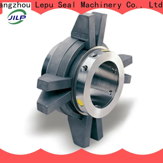 Lepu Seal OEM high quality flowserve dry gas seal factory bulk production 1