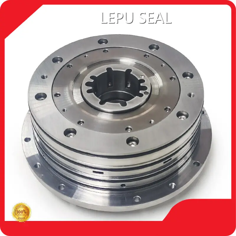 Lepu Seal Compressor Dry Gas Seal YES Compressor Dry Gas SealCompany 1