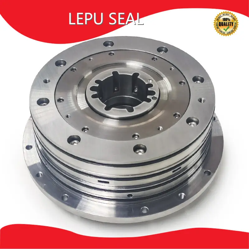 For Chemical Industries Gas Seals ISO by Lepu Seal 1