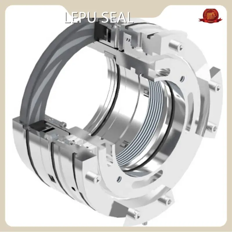 Industrialdry Gas Mechanical Seal for Chemical Industries LPDGS-801 L/C 1