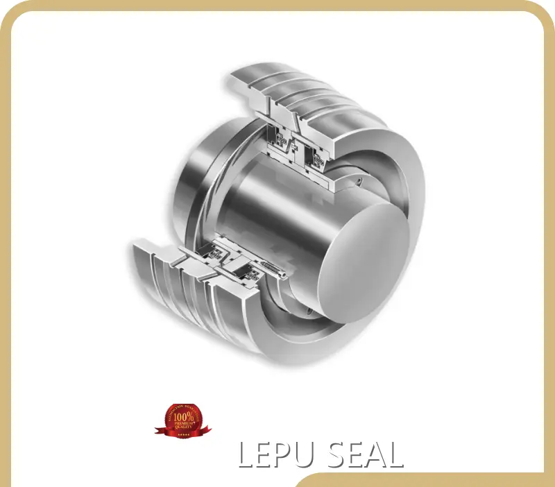 Dry Gas Mechanical Seal for Chemical Industries SIC//CARBON/SS316/SS304/HC276for Petrochemical Industries 1