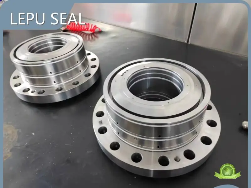 Compressor Dry Gas Seal FFKM - for Chemical Industries - Lepu Seal 1