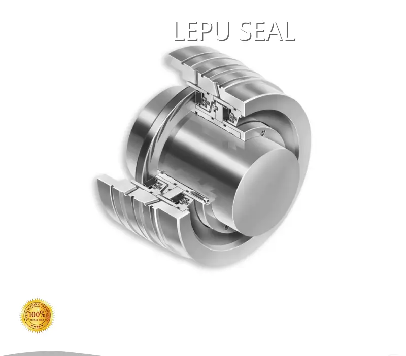 IndustrialDry Gas Seal for Petrochemical Industries LEPU 50-300mm 1