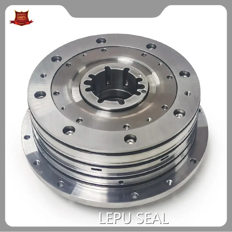 Industrial Dry Gas Seal for Chemical Industries 1