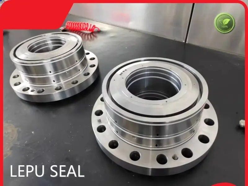 Eagleburgmann Dry Gas Seal for Chemical Industries 20mm-180mmCompany 1