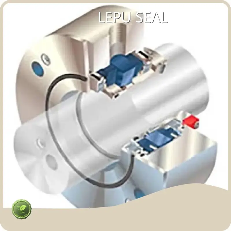Types of Mechanical Seals for Pumps for Petrochemical Industries LEPUSEALSupply 1