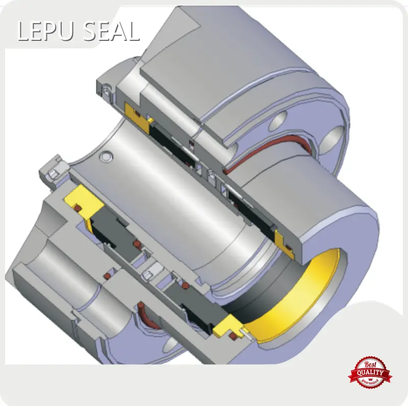 Tandem Dry Gas Seal for Chemical Industries LPDGS21Manufacturer 1