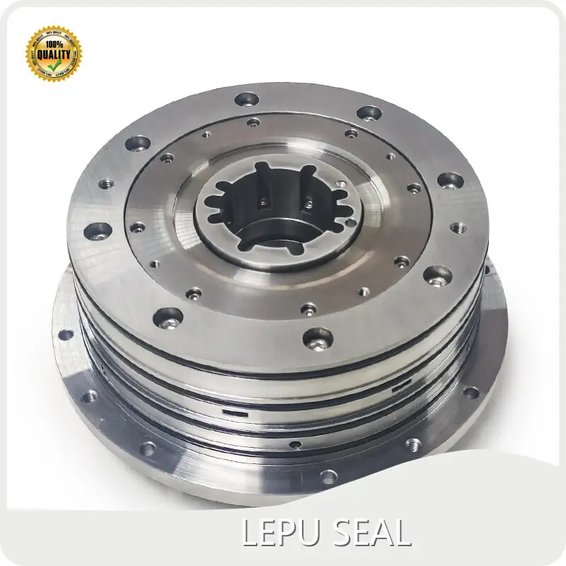 For Chemical Industries Dry Gas Seal YES by Lepu Seal 1