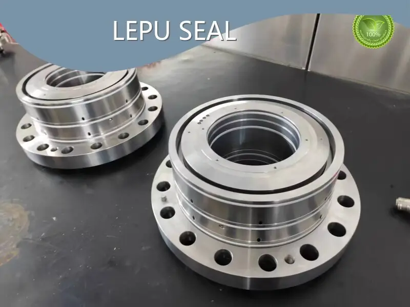 Dry Gas Seal Manufacturers SHENZHEN 20mm-180mmfor Petrochemical Industries 1
