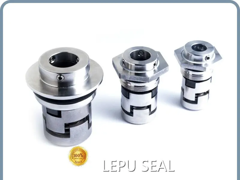 Grundfos Mechanical Seal 1 Day by Lepu Seal 1