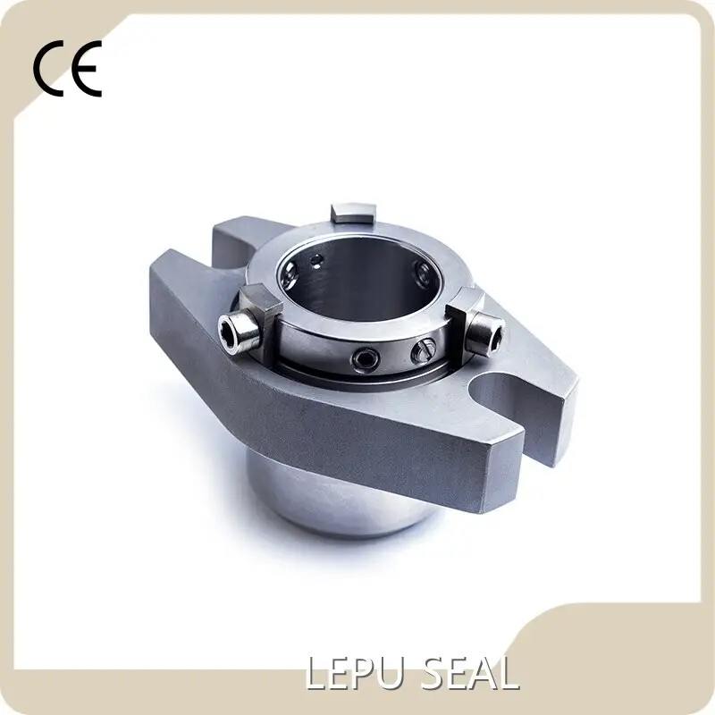 Aesseal Component Seals 15 Day - - Lepu Seal 1