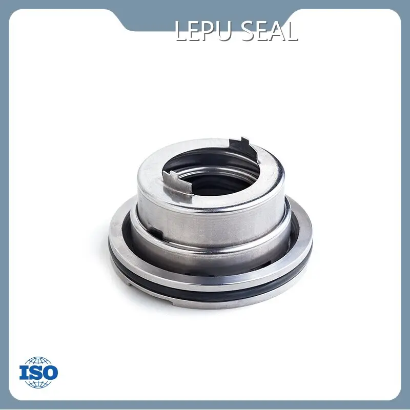 Blackmer Pump Seal Factory ISO - - Lepu Seal 1