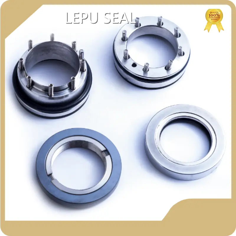 Water Pump Seal Replacement by Lepu Seal 1