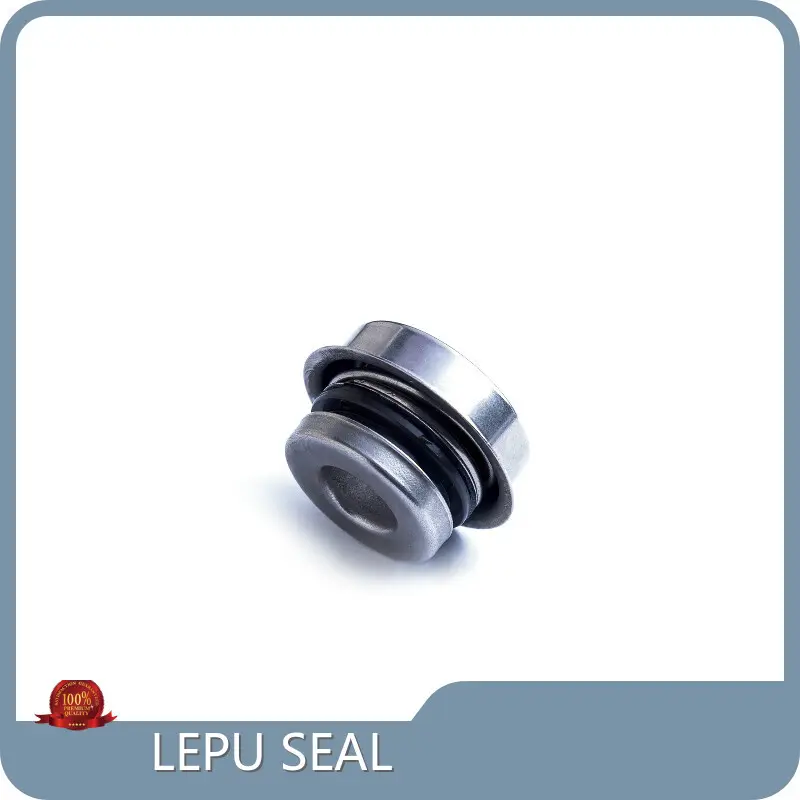 Pump Seal CHINA - - Lepu Seal 1