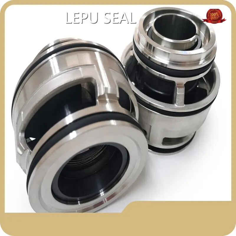 Double Cartridge Mechanical Seal SARLIN-43mm Wholesale - Lepu Seal 1