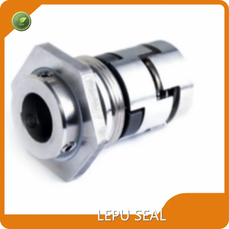 Grundfos Pump Seal Kit OEM/ODM Availability Wholesale - Lepu Seal 1