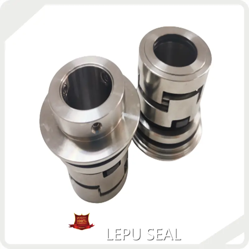 Grundfos Pump Seal Replacement OEM/ODM Availability by Lepu Seal 1